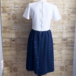 LuLaRoe Dresses - LULAROE | AMELIA | EUC | LARGE | LuLaRoe Dresses - LULAROE | AMELIA | EUC | LARGE |
